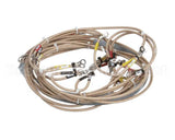 148560 Groen Wire Harness, Elements Bpm-30E