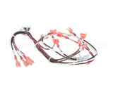 148769 Groen Wire Harness-Electric Tilt, High Voltage