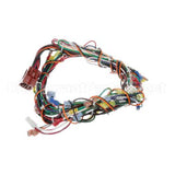 149602 Groen Harness, Control, Ssb-Gas Unit