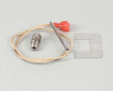 14992 Henny Penny Kit-Pfe500-C1000 Temp Probe
