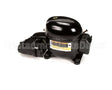 150556 Norlake Compressor 115V