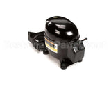 150556 Norlake Compressor 115V