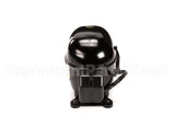 150556 Norlake Compressor 115V