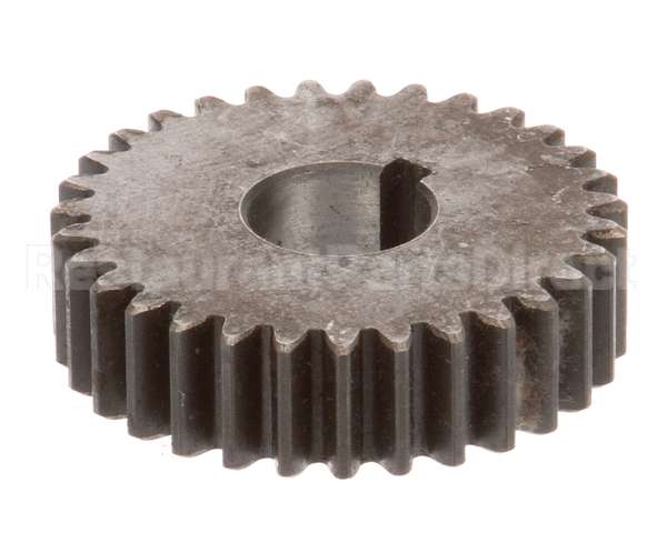 15076 Blakeslee Spur Gear