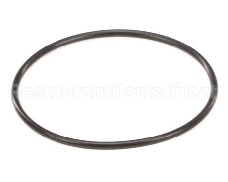 151121 Everpure Costguard O-Ring
