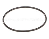 151121 Everpure Costguard O-Ring