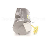 151260 Groen Leeson 1/2 Hp Motor