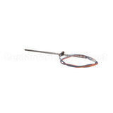 151677 Newco Temperature Probe (Main Thermo