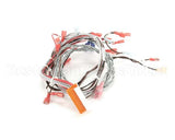 153338 Groen Harness, Ssb-G Forward