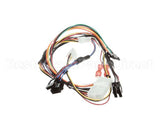 156178 Duke Harness,Renau 4X3 Main