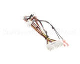 156752 Duke Harness,Main Fwm Sgl Relay