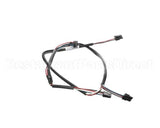 156755 Duke Harness,Timer Bar 3Wide Short