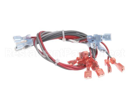 157935 Duke Harness,Wire Main Fwm