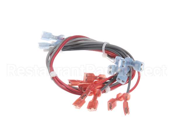 157935 Duke Harness,Wire Main Fwm