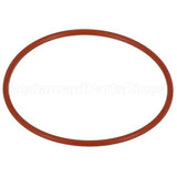 158096 Compatible Everpure O-Ring