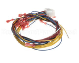 158115-001 Henny Penny Harn-Hl Gv Mv Pv Th Vs-2F