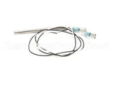 1595 Royalton Temp Probe Rtd 2K