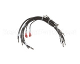 160874 Groen Harness, Steamer High Voltage