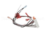 160881 Groen Harness, Ssb-G Low Voltage