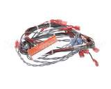 160882 Groen Harness, Ssb Forward