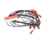 160882 Groen Harness, Ssb Forward