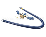 16125KIT2S60 Dormont 1-1/4 Dia., 60 Blue Hose, Snapfast, 2 Sw