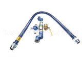 16125KIT2S60 Dormont 1-1/4 Dia., 60 Blue Hose, Snapfast, 2 Sw