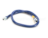 1650BP60 Dormont Blue Hose, 1/2 Dia, 60 L