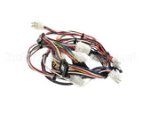 165931 Duke Harness,Lo-Voltage Muhc