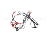 166043 Duke Harness,Heater Relays 2X4