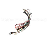 166047 Duke Harness, Control Dc - Irhs 3X4