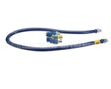 1675BPQ2S72 Dormont 3/4 Dia., 72 Blue Hose, Snapfast, 2 Swiv