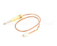 17005 Comstock Castle Thermocouple