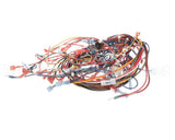 170908 Groen Harness, Intek Electric, Manual Fill