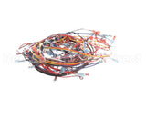 170908 Groen Harness, Intek Electric, Manual Fill