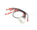 17241 Broaster Wire Assembly- 15 Pin, Gas