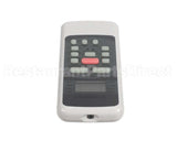 17317000000495 Bryant Payne Remote Control