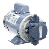 17439 Compatible Henny Penny Filter Pump Motor, 1/2Hp, 110-115V/220-230V