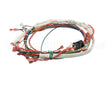 175288 Groen Wire Harness,Control Low Voltage, Gas
