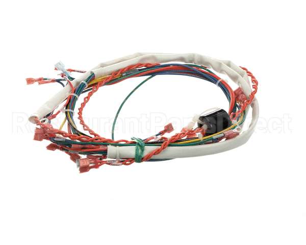 175288 Groen Wire Harness,Control Low Voltage, Gas