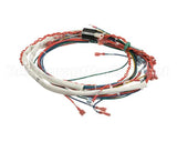 175288 Groen Wire Harness,Control Low Voltage, Gas