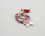 175479 Duke Harness,Test Cord Flame Sense