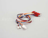 175479 Duke Harness,Test Cord Flame Sense