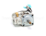 1754902 Garland Valve-Basotrol Dual(G96) Lp