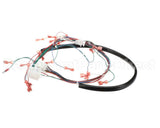 175759 Duke Harness,Wiring Low Volt.ce Fbb
