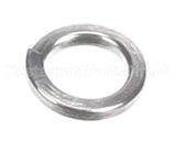 1759-206 Migali Spring Washers