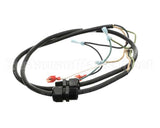 176425 Duke Harness,Purge Pcb To Ignition