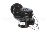 176431 Duke Blower,Asy Terminated