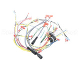 176852 Duke Wire Harness Kit, Fbb