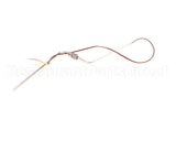 17702 Broaster Probe-Formed, Ug, Gas St